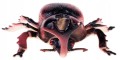 ba148b1b4d8ca5b3445eed38eca8