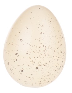 PINGWIN WYKLUWAJĄCY SIĘ Z JAJA ROSNĄCY