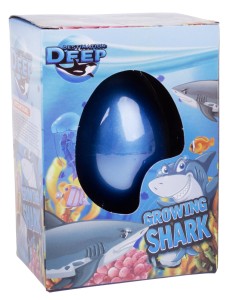 REKIN WYKLUWAJĄCY SIĘ Z JAJKA RYBA REKIN ROSNĄCY MIX