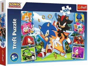 PUZZLE TREFL 100 EL SONIC POZNAJ SONICA 16465