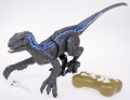 DSC08691.JPG