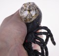 DSC03024.JPG