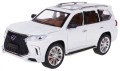 DSC03803.JPG