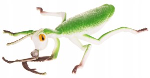 MODLISZKA INSEKTY OWADY ROBALE GUMOWE Z GROSZKIEM