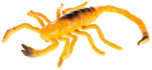 SKORPION INSEKTY OWADY ROBALE GUMOWE Z GROSZKIEM